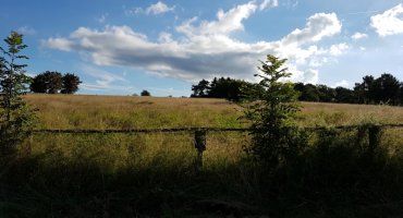 und haben auf der linken Seite einen wunderschönen Blick auf den Rodderberg und dessen Reitwege und Pferdehindernisse. Hier finden die Gelände-Reitturniere statt.