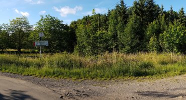 In der Kurve biegen wir nach rechts in den Wald ab. Bitte denken sie daran, in der Dämmerung und in den frühen Morgenstunden kann man hier schon mal auf eine Rotte Wildschweine treffen.