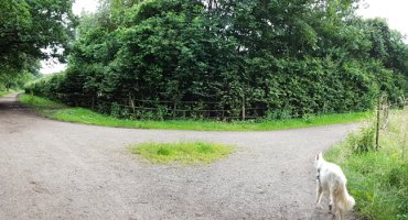 Wir folgen dem Weg bis wir auf eine Kreuzung mit einer Hohen Hecke stoßen und nehmen hier den linken Abzweig. Hinter der Hecke verbirgt sich der Drei LIndenhof, den wir nun "umwandern".