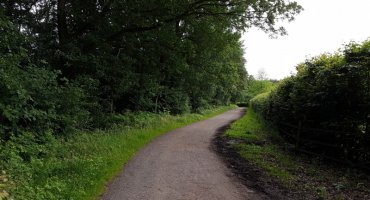 Nach der langen geraden folgt eine Waldkreuzung an der wir uns rechts halten. Von hier aus kann man den Drei Lindenhof am besten sehen. An der nächsten Kreuzung wieder rechts um den Hof herum. Der Weg geradeaus führt zum Wachtberger Golfplatz.