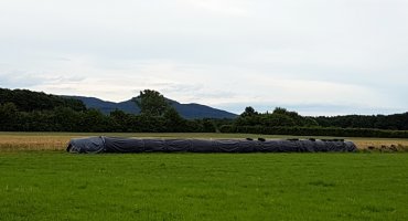 Von hier aus haben wir einen wunderschönen Blick auf das Siebengebirge.