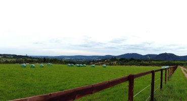 Unser Weg führt uns wieder an saftigen Wiesen und Pferdekoppeln vorbei und wir geniessen einen freien Blick auf das Siebengebirge.