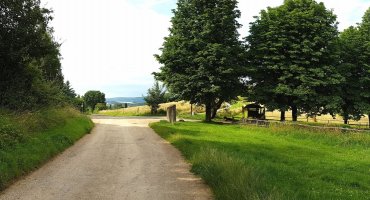 Unser Weg führt uns aber geradeaus über die kleine Straße hinweg, über die wir rauf gefahren sind.  Werfen Sie auch einen Blick nach rechts: Eine malerische Kastanienallee führt runter zum Broichhof.