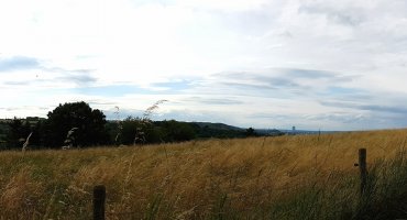 Von hier haben wir einen wundervollen Blick über Bonn.