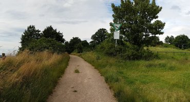 Am Ende der rechten Weide führt ein kleiner Pfad nach rechts. Diesen wählen wir, verlassen also den Schotterweg und laufen nun zwischen Weide und Windkuppe weiter.