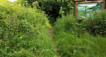 Hier steht erneut ein Schild mit den Beschreibungen der Pflanzenwelt. Vor diesem Schild führt uns der Pfad rauf zur Windkuppe. 