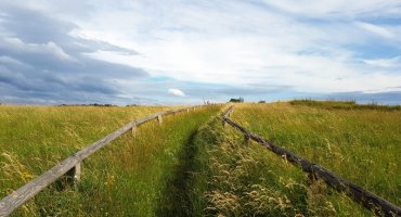 Die Windkuppe trägt ihren Namen zu recht. Im Herbst zieht es viele – Kinder wie Erwachsene – hier herauf; sie lassen ihre Drachen steigen. Genießen Sie die Sicht rund herum.