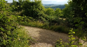 Unten angelangt sind wir wieder auf dem komfortablen Schotterweg, der uns nach links zu unserm Auto zurückführt.