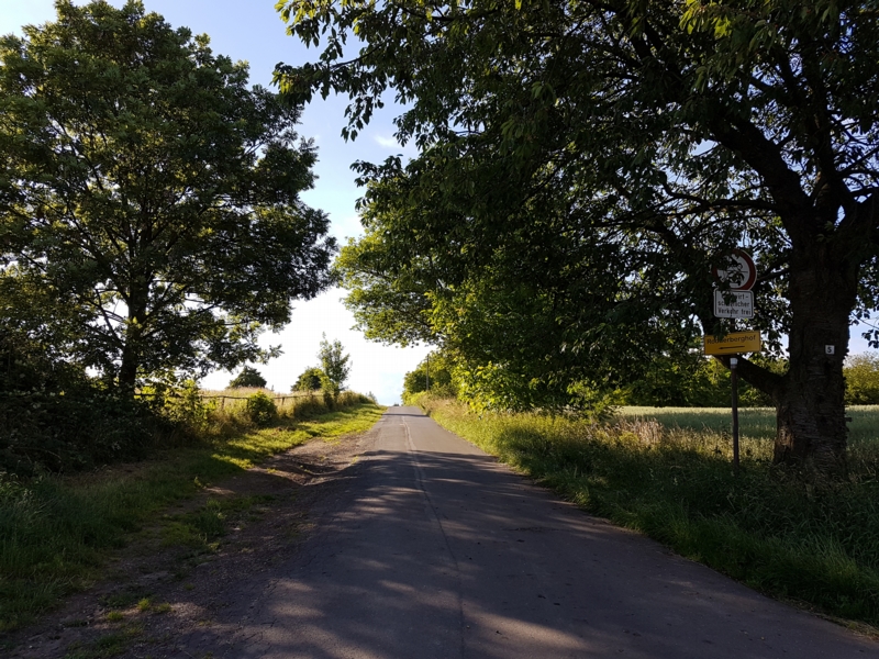 Wir laufen vom Parkplatz aus gesehen links runter, Richtung Wald 