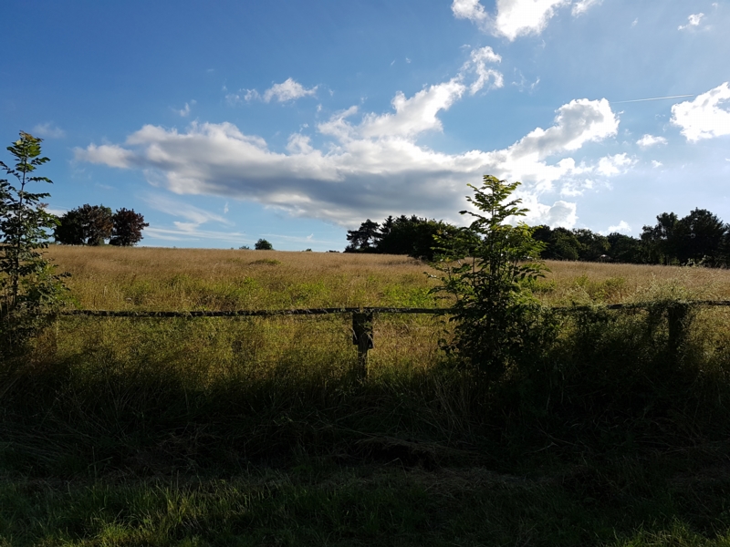 und haben auf der linken Seite einen wunderschönen Blick auf den Rodderberg und dessen Reitwege und Pferdehindernisse. Hier finden die Gelände-Reitturniere statt.