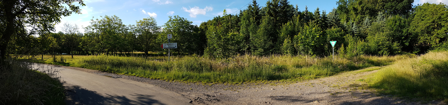 In der Kurve biegen wir nach rechts in den Wald ab. Bitte denken sie daran, in der Dämmerung und in den frühen Morgenstunden kann man hier schon mal auf eine Rotte Wildschweine treffen.