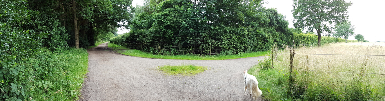 Wir folgen dem Weg bis wir auf eine Kreuzung mit einer Hohen Hecke stoßen und nehmen hier den linken Abzweig. Hinter der Hecke verbirgt sich der Drei LIndenhof, den wir nun "umwandern".