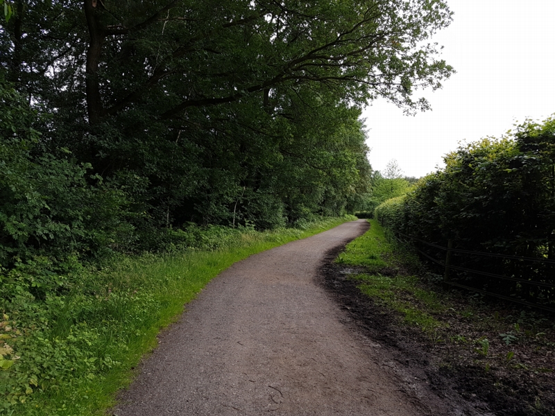 Nach der langen geraden folgt eine Waldkreuzung an der wir uns rechts halten. Von hier aus kann man den Drei Lindenhof am besten sehen. An der nächsten Kreuzung wieder rechts um den Hof herum. Der Weg geradeaus führt zum Wachtberger Golfplatz.