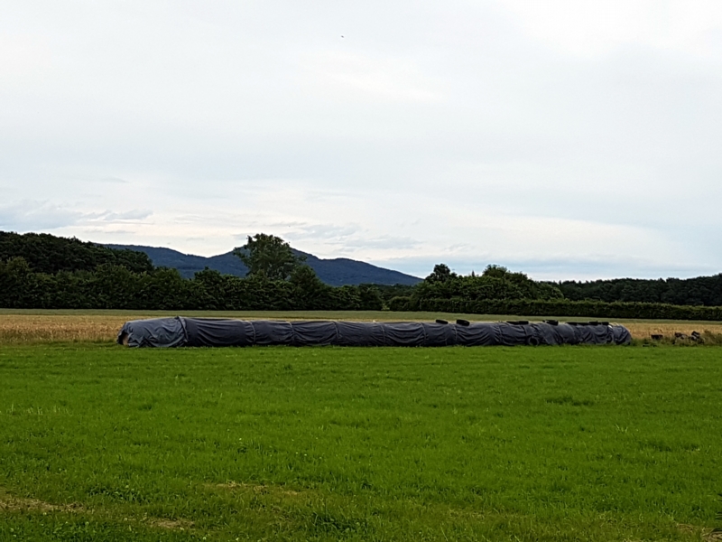 Von hier aus haben wir einen wunderschönen Blick auf das Siebengebirge.