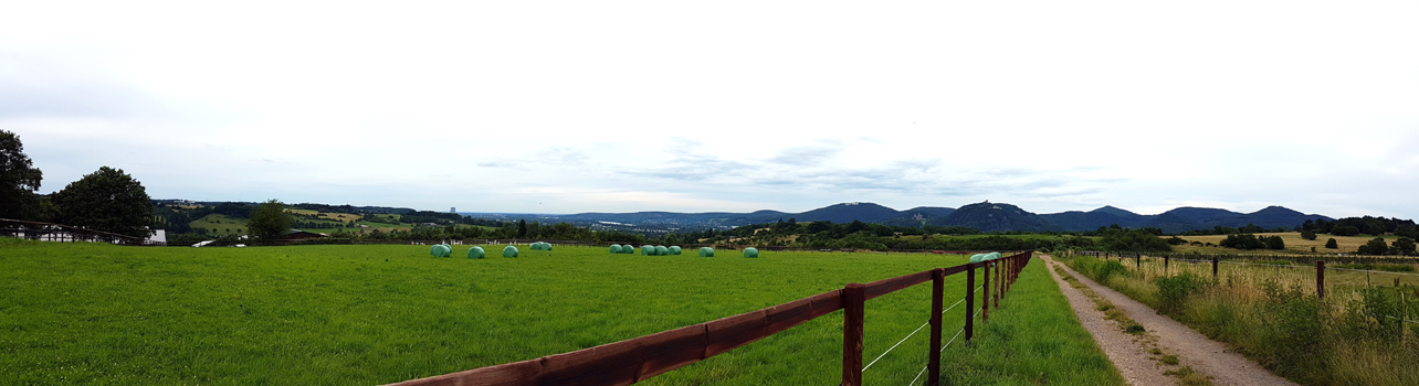 Unser Weg führt uns wieder an saftigen Wiesen und Pferdekoppeln vorbei und wir geniessen einen freien Blick auf das Siebengebirge.