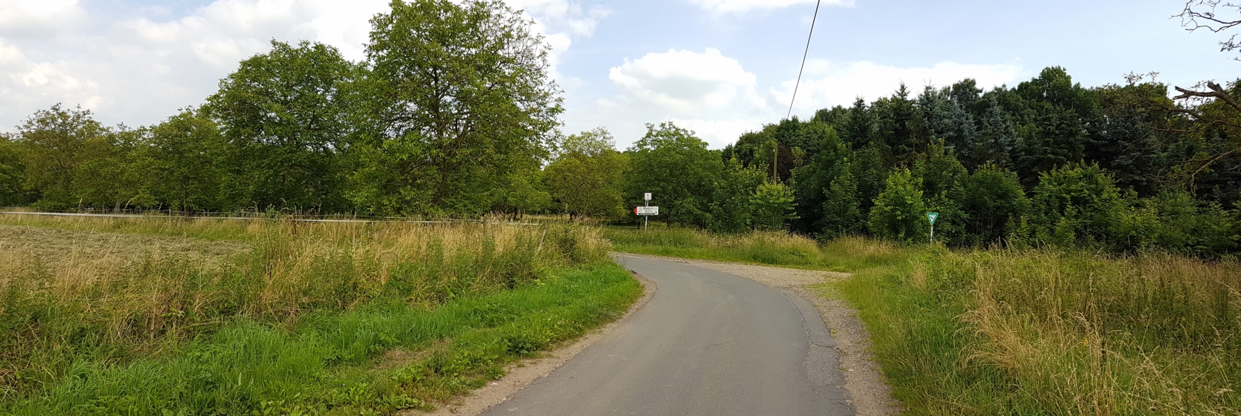 Wir kommen an eine Weggabelung und folgen der asphaltierten Straße nach links. Auch hier sehen wir rechts und links Nussbäume.