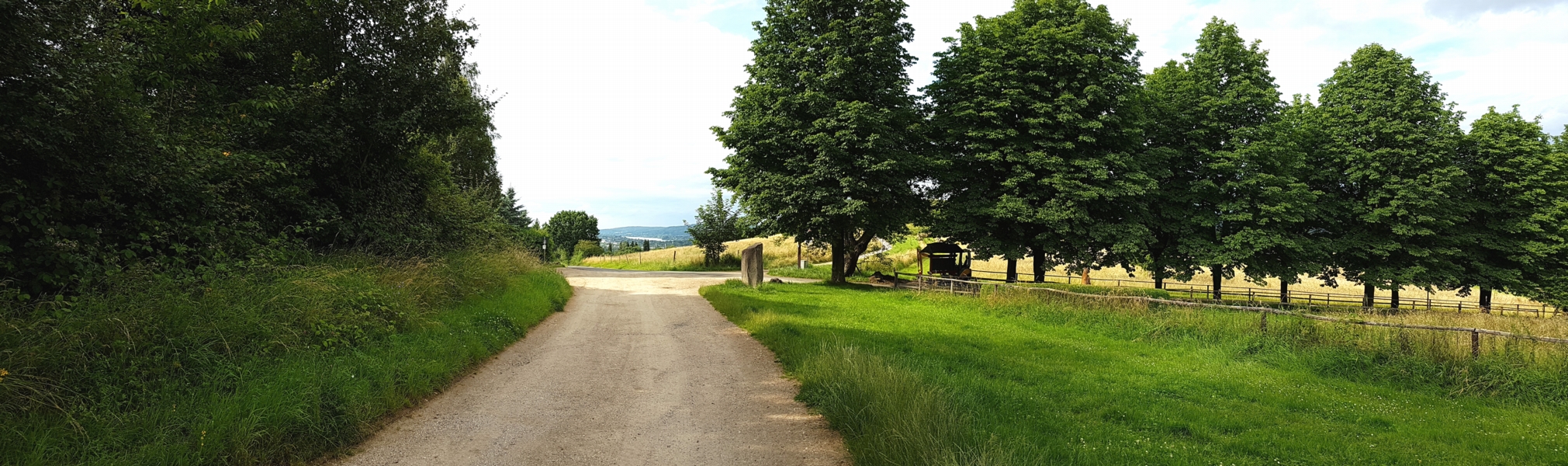 Unser Weg führt uns aber geradeaus über die kleine Straße hinweg, über die wir rauf gefahren sind.  Werfen Sie auch einen Blick nach rechts: Eine malerische Kastanienallee führt runter zum Broichhof.