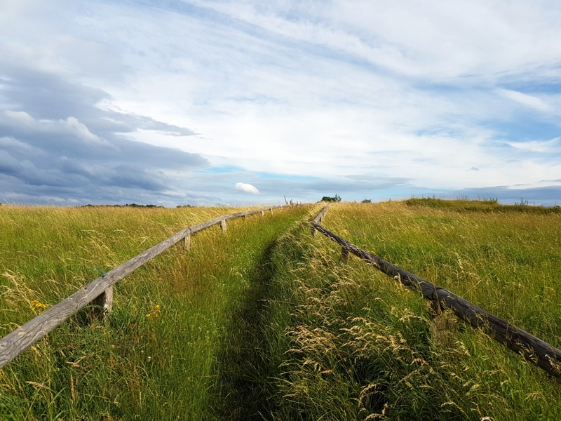 Die Windkuppe trägt ihren Namen zu recht. Im Herbst zieht es viele – Kinder wie Erwachsene – hier herauf; sie lassen ihre Drachen steigen. Genießen Sie die Sicht rund herum.