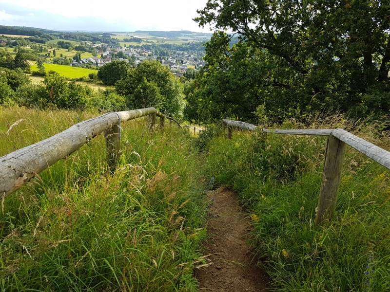 Wenn Sie sich von diesem Panorama lösen können, gehen Sie über den rechten kleinen steilen Pfad wieder von der Kuppe runter.