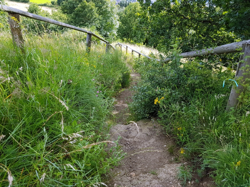 etzt wissen Sie, weswegen ich festes Schuhwerk empfahl. Der Pfad ist kurz, aber schmal und steil und man kann leicht ausrutschen – bei trockenem Wetter auf losen Steinen, bei Nässe auf schlammigem Boden.